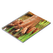Bald Cypress Knees Notizblock (Linke Seite)