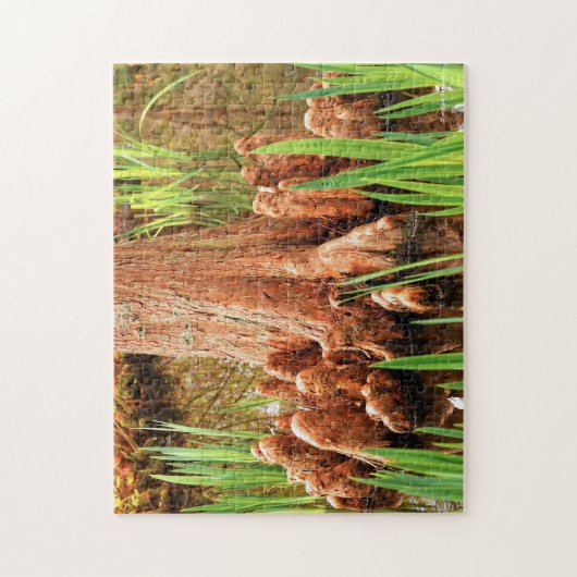 Bald Cypress Knees Puzzle (Vertikal)