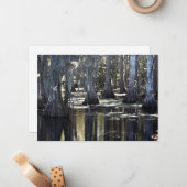 Bald Cypress Mitteilungskarte (Vorderseite/Rückseite Beispiel)