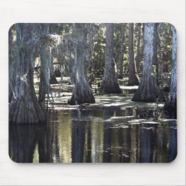 Bald Cypress Mousepad