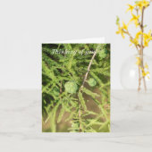 Bald-Cypress-Seed-Cone-Denken Karte (Gelbe Blume)