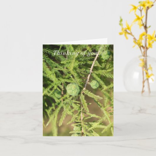 Bald-Cypress-Seed-Cone-Denken Karte (Gelbe Blume)