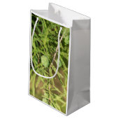 Bald Cypress Seed Cone Kleine Geschenktüte (Rückseite Schrägansicht)