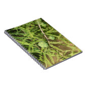 Bald Cypress Seed Cone Notizblock (Rechte Seite)