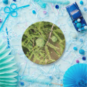 Bald Cypress Seed Cone Pappteller (Party)