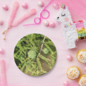 Bald Cypress Seed Cone Pappteller (Party)