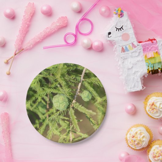 Bald Cypress Seed Cone Pappteller (Party)