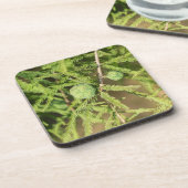 Bald Cypress Seed Cone Untersetzer (Linke Seite)