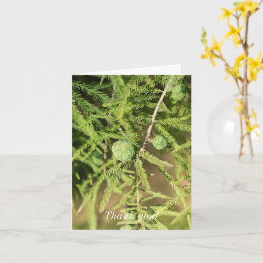Bald Cypress Seed Cone Vielen Dank Karte (Gelbe Blume)