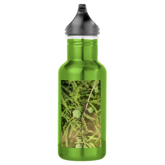 Bald Cypress Seed Cone Water Flasche Edelstahlflasche (Rechts)
