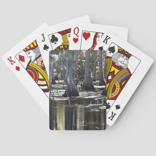 Bald Cypress Spielkarten (Rückseite)