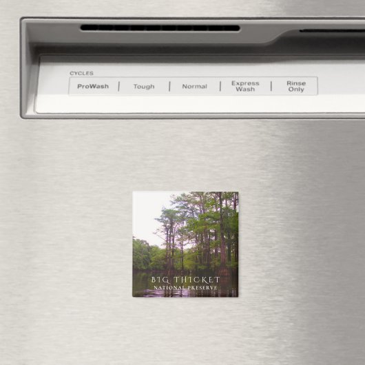 Bald-Cypress-Sumpf, Big-Thicket-Nationalreserve Magnet (In Situ (Geschirrspüler))