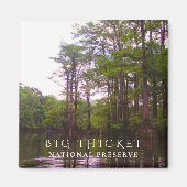 Bald-Cypress-Sumpf, Big-Thicket-Nationalreserve Magnet (Vorne)