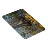 Bald-Cypress-Tree im Sumpf, Big Cypress Reserve Magnet (Rechte Seite)