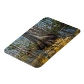 Bald-Cypress-Tree im Sumpf, Big Cypress Reserve Magnet (Linke Seite)