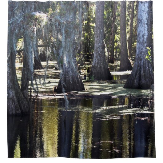 Bald Cypress Trees Duschvorhang (Vorderseite)