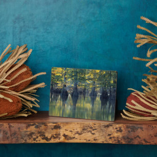 Bald Cypress Trees Horseshoe Lake Illinois Fotoplatte