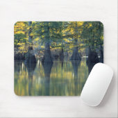 Bald Cypress Trees | Horseshoe Lake Illinois Mousepad (Mit Mouse)