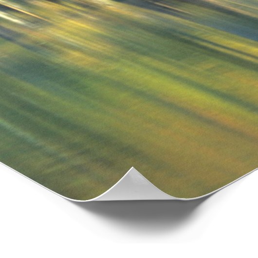 Bald Cypress Trees | Horseshoe Lake Illinois Poster (Ecke)