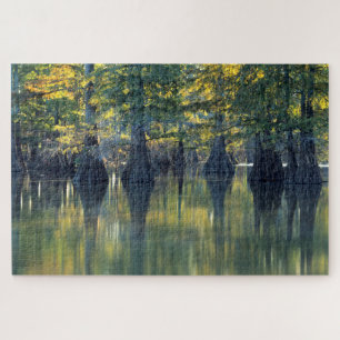 Bald Cypress Trees Horseshoe Lake Illinois Puzzle