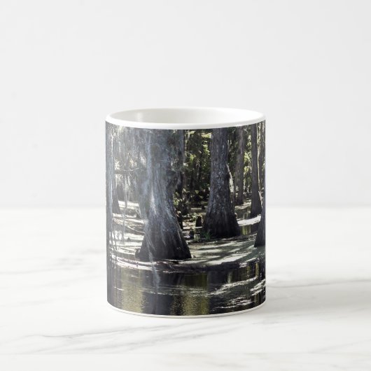 Bald Cypress Trees Kaffeetasse (Mittel)