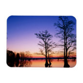 Bald Cypress Trees | Nationale Schutzhütte, TN Magnet (Horizontal)