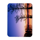 Bald Cypress Trees | Nationale Schutzhütte, TN Magnet (Vertikal)