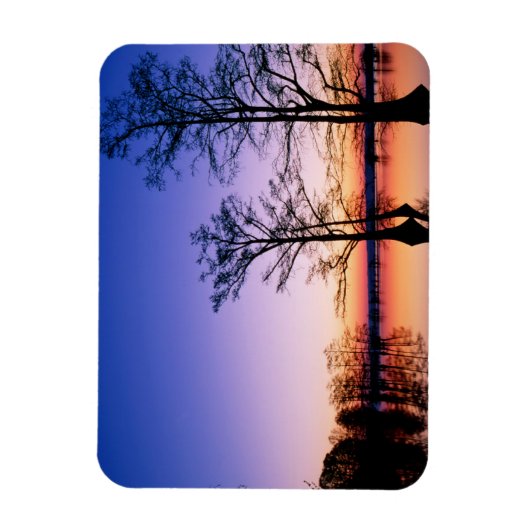 Bald Cypress Trees | Nationale Schutzhütte, TN Magnet (Vertikal)