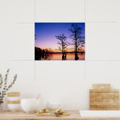 Bald Cypress Trees | Nationale Schutzhütte, TN Poster (Küche)