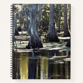 Bald Cypress Trees Notizblock