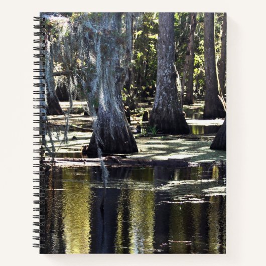 Bald Cypress Trees Notizblock (Vorderseite)