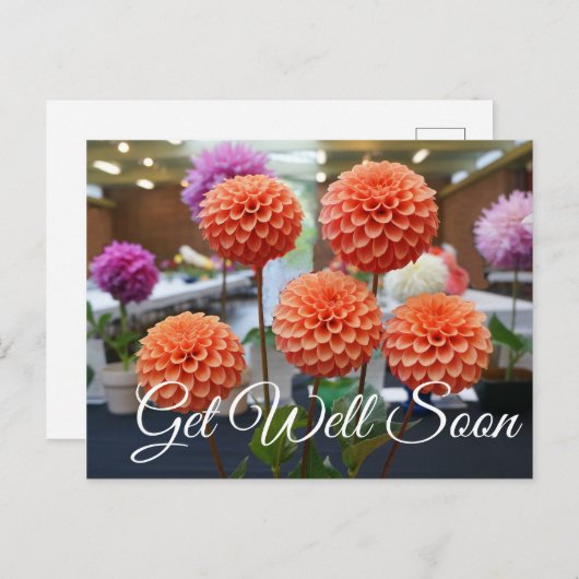 bald Dahlia Rose Toscano #1 Postkarte (Vorne/Hinten)