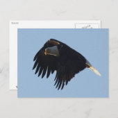 BALD EAGFL Motivierend Postkarte (Vorne/Hinten)