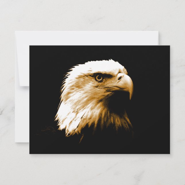 Bald Eagle (Vorderseite)