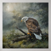Bald Eagle 1 Poster (Vorne)