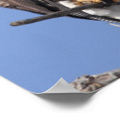 Bald Eagle 2010 Poster (Ecke)