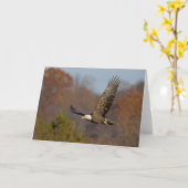 Bald Eagle 6 Karte (Gelbe Blume)