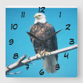 Bald Eagle Acrylic Wall Clock Quadratische Wanduhr