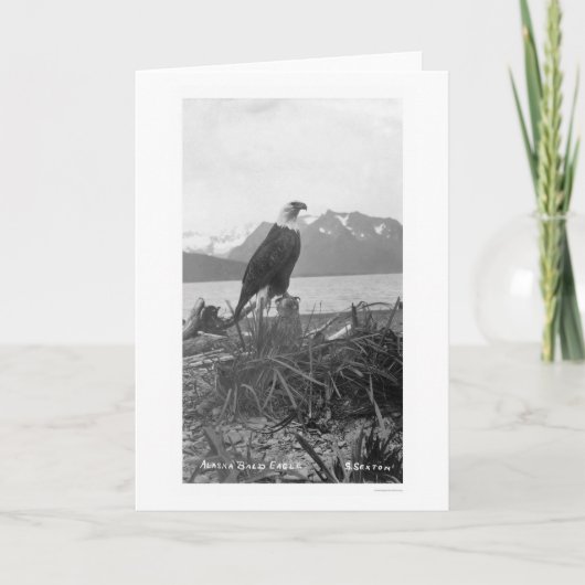 Bald Eagle Alaska 1920 Karte (Vorderseite)