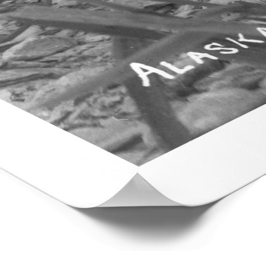 Bald Eagle Alaska 1920 Poster (Ecke)