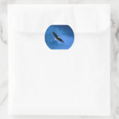Bald-Eagle-Alaska Runder Aufkleber (Tasche)
