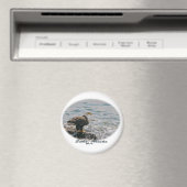 Bald Eagle am Strand Magnet (In Situ (Geschirrspüler))