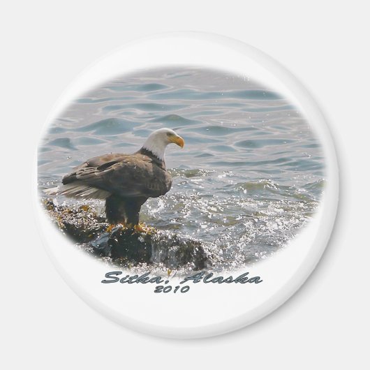 Bald Eagle am Strand Magnet (Vorne)