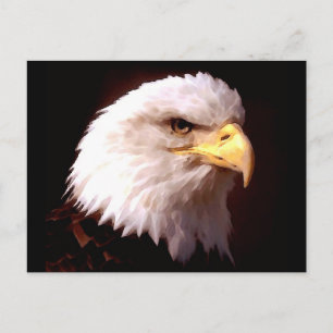 Bald Eagle American Eagle Postkarte