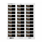 Bald Eagle American Flag Country Road (Vorne)