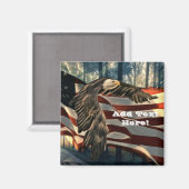 Bald Eagle American Flag Country Road Magnet (Vorderseite/Rückseite)