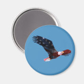 Bald Eagle American Flag Magnet (Vorderseite/Rückseite)