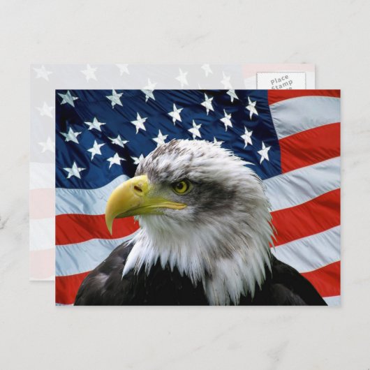 Bald Eagle American Flag Postkarte (Vorne/Hinten)