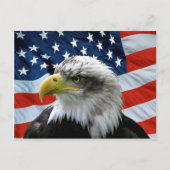Bald Eagle American Flag Postkarte (Vorderseite)
