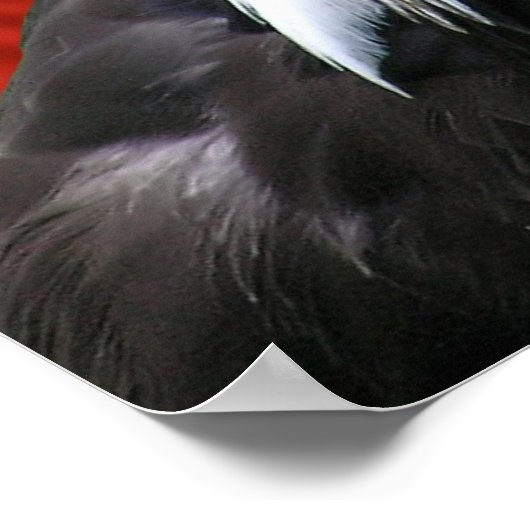 Bald Eagle American Flag Print Poster (Ecke)